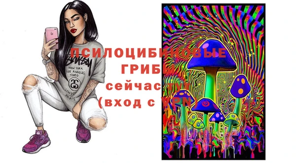 гидропоника Верхнеуральск